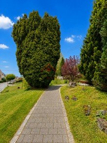 Weg zum Haus Einfamilienhaus in guter Wohnlage - 935 m� Grundst�ck, zwei Garagen, viele M�glichkeiten