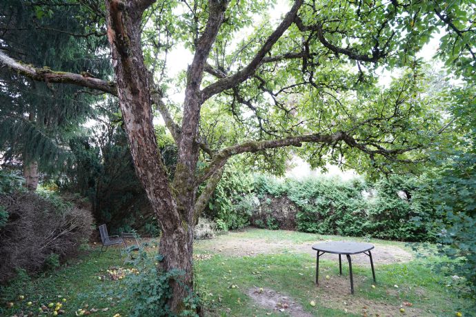 Garten mit Baumbestand.jpg Doppelhaush�lfte Villingen-Schwenningen