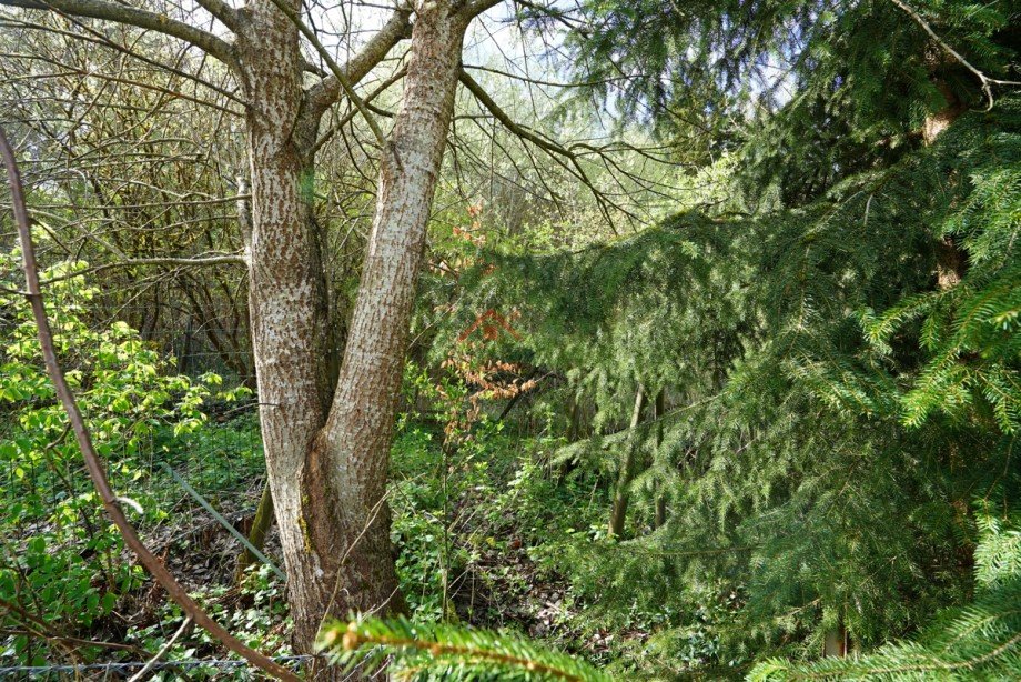 Grundst�ck Zweifamilienhaus Tuttlingen