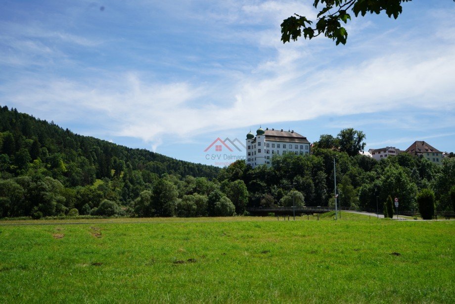 Aussicht aufs Schloss Einfamilienhaus M�hlheim an der Donau
