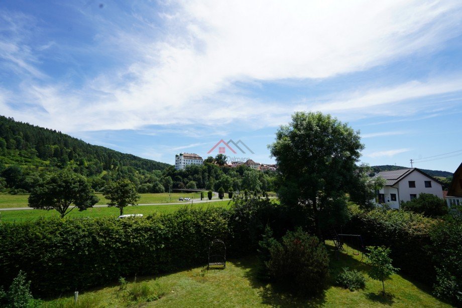 Aussicht von der Dachterrasse Einfamilienhaus M�hlheim an der Donau