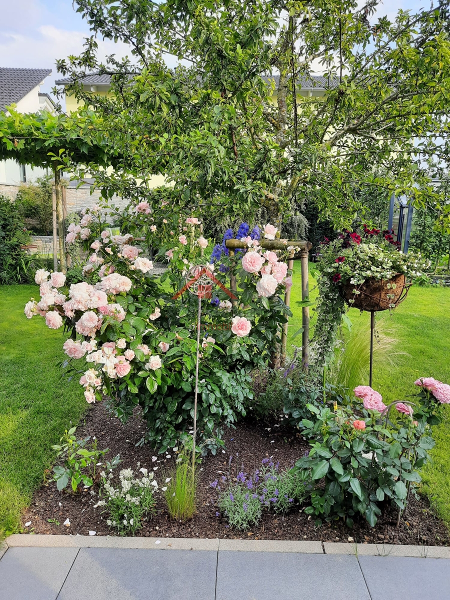 Kirschbaum Einfamilienhaus Tuttlingen